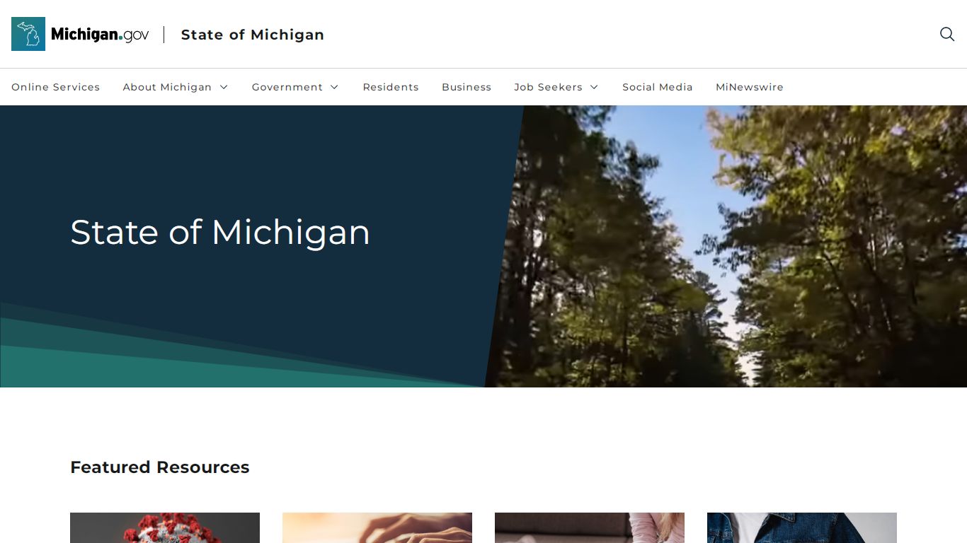 MSP CRIMINAL RECORDS QUICK NOTES!!! - Michigan